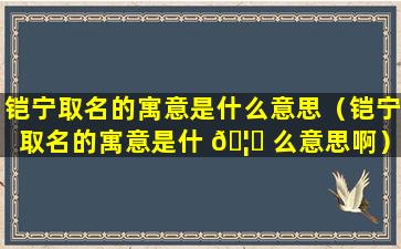 铠宁取名的寓意是什么意思（铠宁取名的寓意是什 🦁 么意思啊）